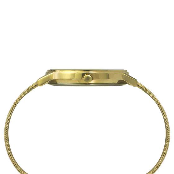 TIMEX MODERN GOLD PLATED WATCH WITH MESH BRACELET-TW0TG8010 - KRISHNA WATCH COMPANY