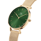 Daniel Wellington Petite Women Green Round Dial Analog Watch - DW00100480K