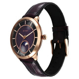Titan Stellar Quartz Analog Sun Moon Phase Purple Dial Watch For Men - 10028WL01