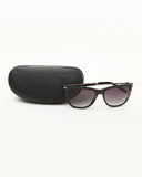 FRENCH CONNECTION FC 7559 C2 56 Gradient Wayfarers - KRISHNA WATCH COMPANY