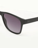 FRENCH CONNECTION FC 7582 C2 53 Gradient Wayfarers - KRISHNA WATCH COMPANY