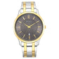 Titan Dark Brown Dial Metal Strap Watch 1825BM01 (DL623)