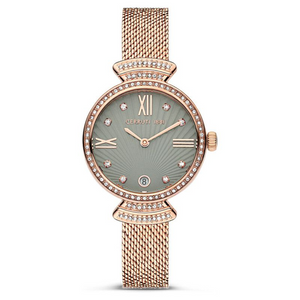 Cerruti 1881 Quartz Analog Grey Dial Stainless Steel Strap Watch for Women CECIWLH2205502W - KRISHNA WATCH COMPANY