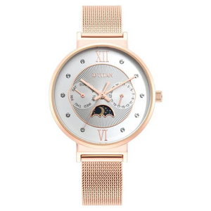 Titan Slimline Silver Dial Quartz Multifunction Stainless Steel Strap Watch for Women 95144WM01 - KRISHNA WATCH COMPANY