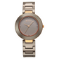 Titan Purple Ceramics Brown Dial Analog Ceramic Strap watch for Women 95189KC07