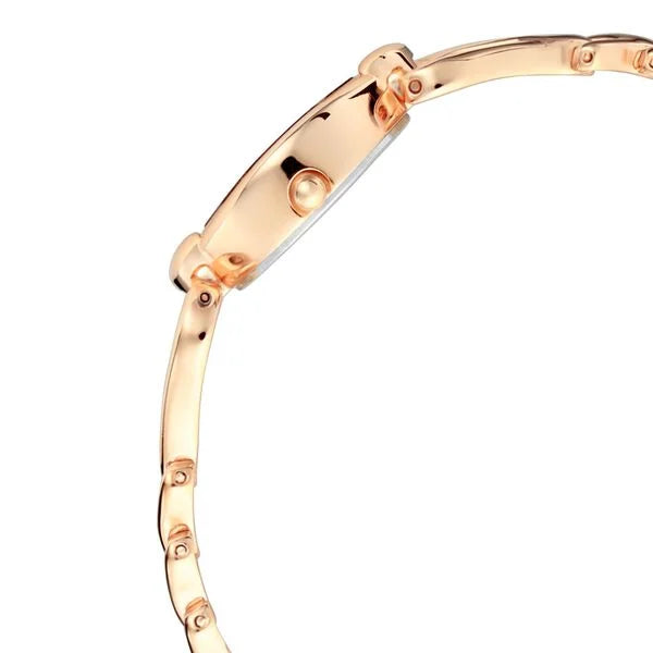 Titan Quartz Analog Silver Dial Metal Strap Watch for Women 2455wm01