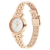 Titan Silver Dial Stainless Steel Watch 2593WM01