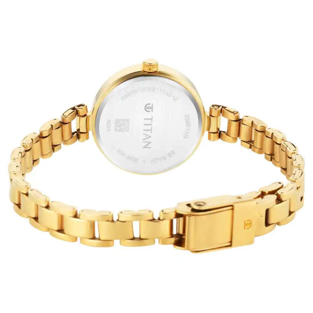 Titan Lagan Silver Dial Metal Strap Watch NP2598YM04