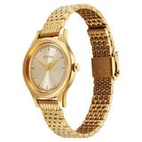 Titan Karishma Quartz Analog Golden Dial Golden Stainless Steel Strap Watch For Women 2679ym02 - KRISHNA WATCH COMPANY