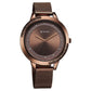 Titan Razzle Dazzle Quartz Analog Brown Dial Stainless Steel Mesh Strap Watch For Women 2764qm01