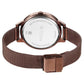 Titan Razzle Dazzle Quartz Analog Brown Dial Stainless Steel Mesh Strap Watch For Women 2764qm01