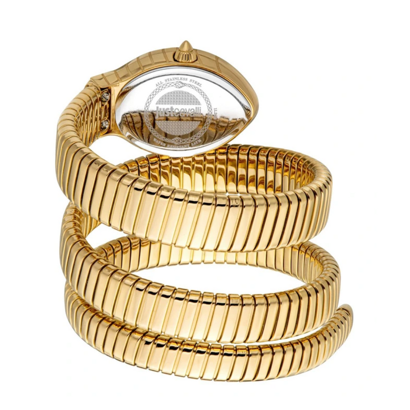 Just Cavalli Classico Lungo Watch for Women JC1L248M0025