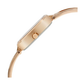 Titan Raga Viva Grey Dial Analog with Date Rose Gold watch for Women - 2604WM01