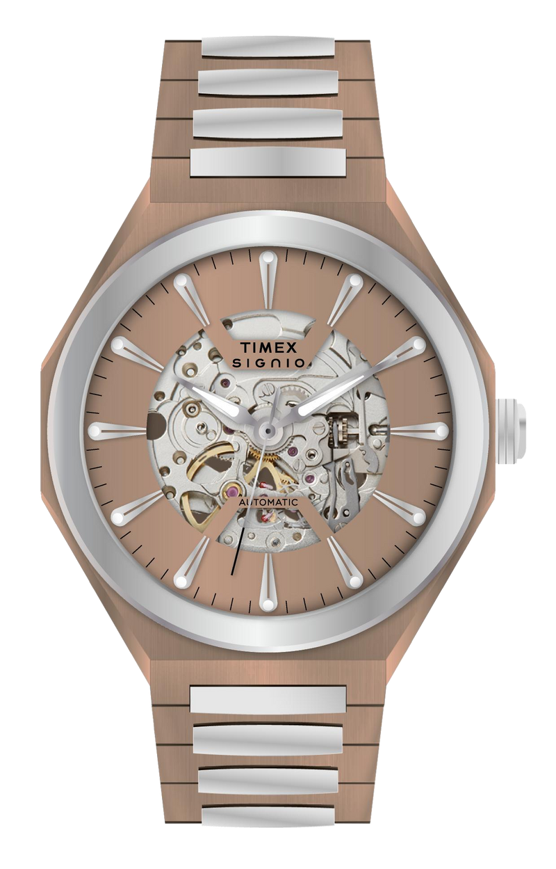 Timex Signio Stratos Coffee Dial Watch TWEG33901 - KRISHNA WATCH COMPANY