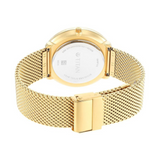 Titan Black & Gold Silver Dial Stainless Steel Strap Watch 1849YM01