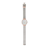 Emporio Armani Stainless Steel Analog Mother of Pearl Dial Women Watch  AR2067
