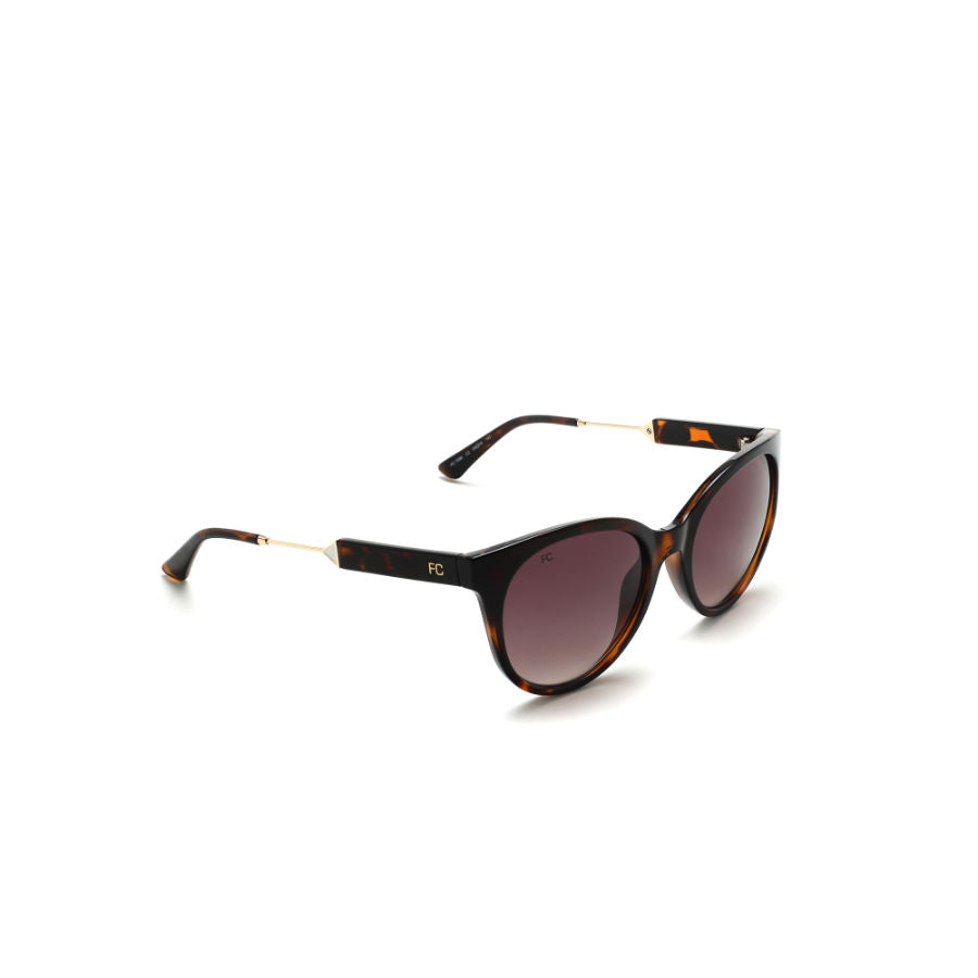 French Connection Brown Lens Round Sunglass Full Rim Brown Frame With Gradient (FC 7596 C2)