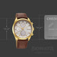 Sonata Magna Quartz Multifunction Watch For Men 7155YL01