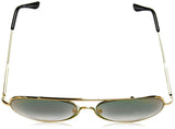 FRENCH CONNECTION FC 7416 C2 Mirrored Aviators with Top-Bar - KRISHNA WATCH COMPANY