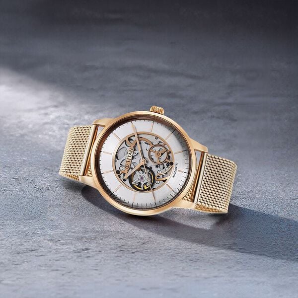 TITAN Mechanical Silver Dial Analog Watch for Men - 90110WM01