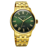 Titan Aurelian Concealed Automatic Analog with Green Dial Watch for Men 90110ym02