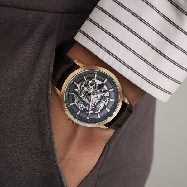 Titan Phoenix Skeletal Automatic Analog with Gun Dial Brown Leather Strap Watch for Men 90223wl01