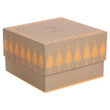 Titan Raga X Masaba Mother of Pearl Dial Women Watch - 95092YM01