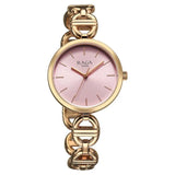 Titan Raga Showstopper Watch For Women 95353wm01