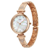 Titan Raga Glimmers Watch For Women 95363wm01