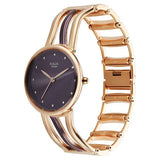 Titan Raga Sierra Quartz Analog Brown Dial Watch For Women 95388km01