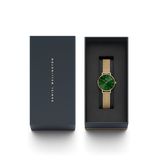 Daniel Wellington Petite Women Green Round Dial Analog Watch - DW00100480K