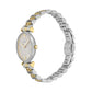 Emporio Armani Two-Tone Stainless Steel Brown Dial Watch AR11702