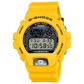 CASIO G-SHOCK DW-6900TR-9DR G1678
