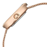 Vyb Prodigy By Fastrack Quartz Analog Watch For Girls fv60073wm02w