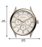 Fossil Modern Sophisticate Multifunction Watch for Women BQ1564 - KRISHNA WATCH COMPANY
