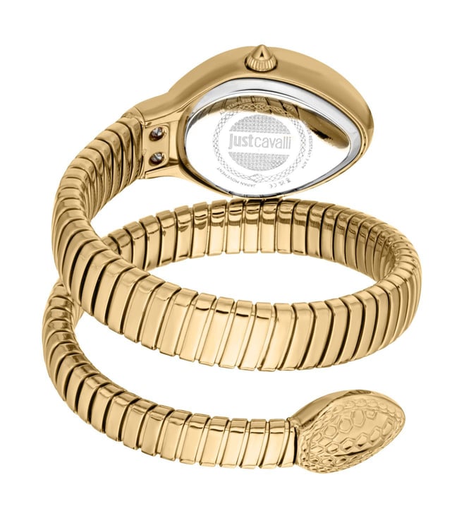 Just Cavalli Eclisse Analog Women 22.5 mm JC1L371M0025