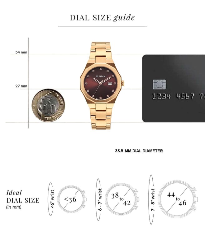 Titan Purple Time Deluxe Quartz Analog Watch For Women 95376wm01