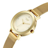 Poze By Sonata Quartz Analog Silver Dial Golden Metal Strap Watch For Women SP80211YM01W