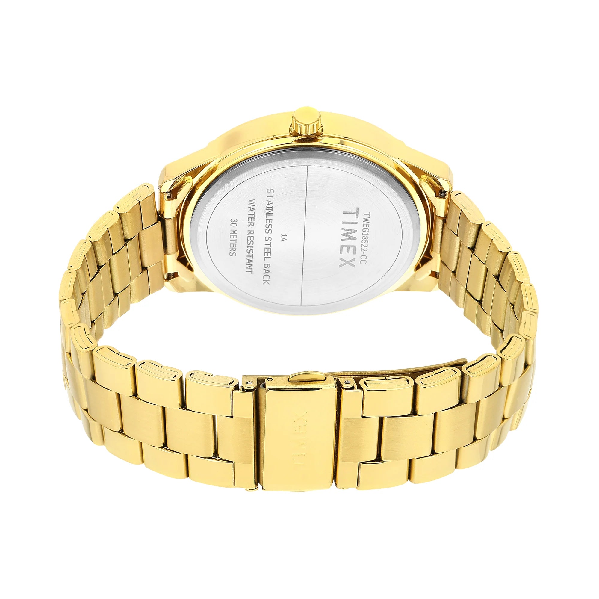 Timex Round Green 45mm Dial  Astrological Men's Watch - TWEG18522