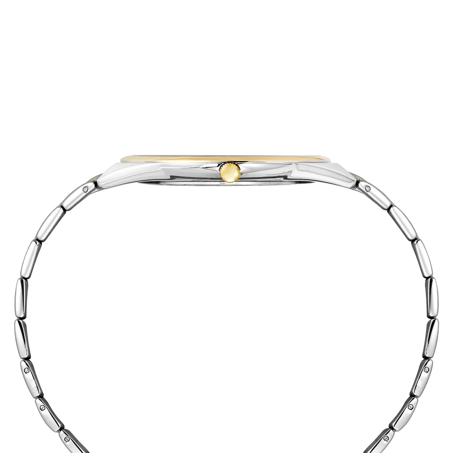 Timex Men's Premium Green Dial Analog Watch - TWEG27903