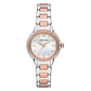Emporio Armani Ladies Emporio Armani Watch AR11569