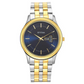 TITAN Karishma Blue Dial  Watch 1824BM03