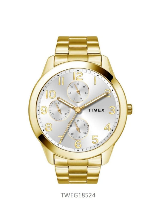 Timex ASTROLOGICAL Full Arabic Silver Dial Men's Watch TWEG18524