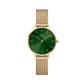Daniel Wellington Petite Women Green Round Dial Analog Watch - DW00100480K