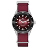 RADO Captain Cook Automatic Unisex 39 mm R32223408 With Interchangeable Strap