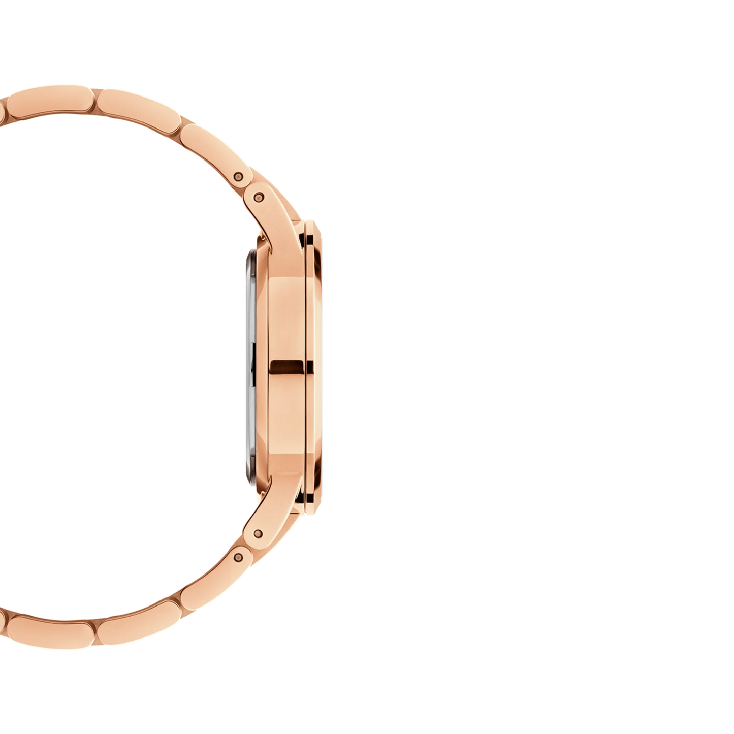 DANIEL WELLINGTON   ICONIC LINK DW00100212