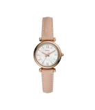 Fossil Carlie Mini Analog Watch for Women ES4699