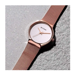 Titan Slimline Silver Dial Rose Gold Watch - 95141WM01