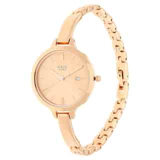 Titan Raga Viva Rose Gold Dial Metal Strap Watch 2578WM01