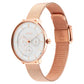 TITAN Workwear Silver Dial Rose Gold Stainless Steel Strap Watch NQ2651WM02